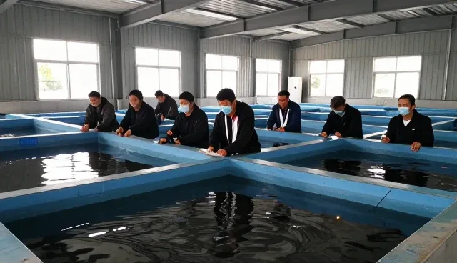 水蛭养殖技术培训中的选型关注点与实际应用分析